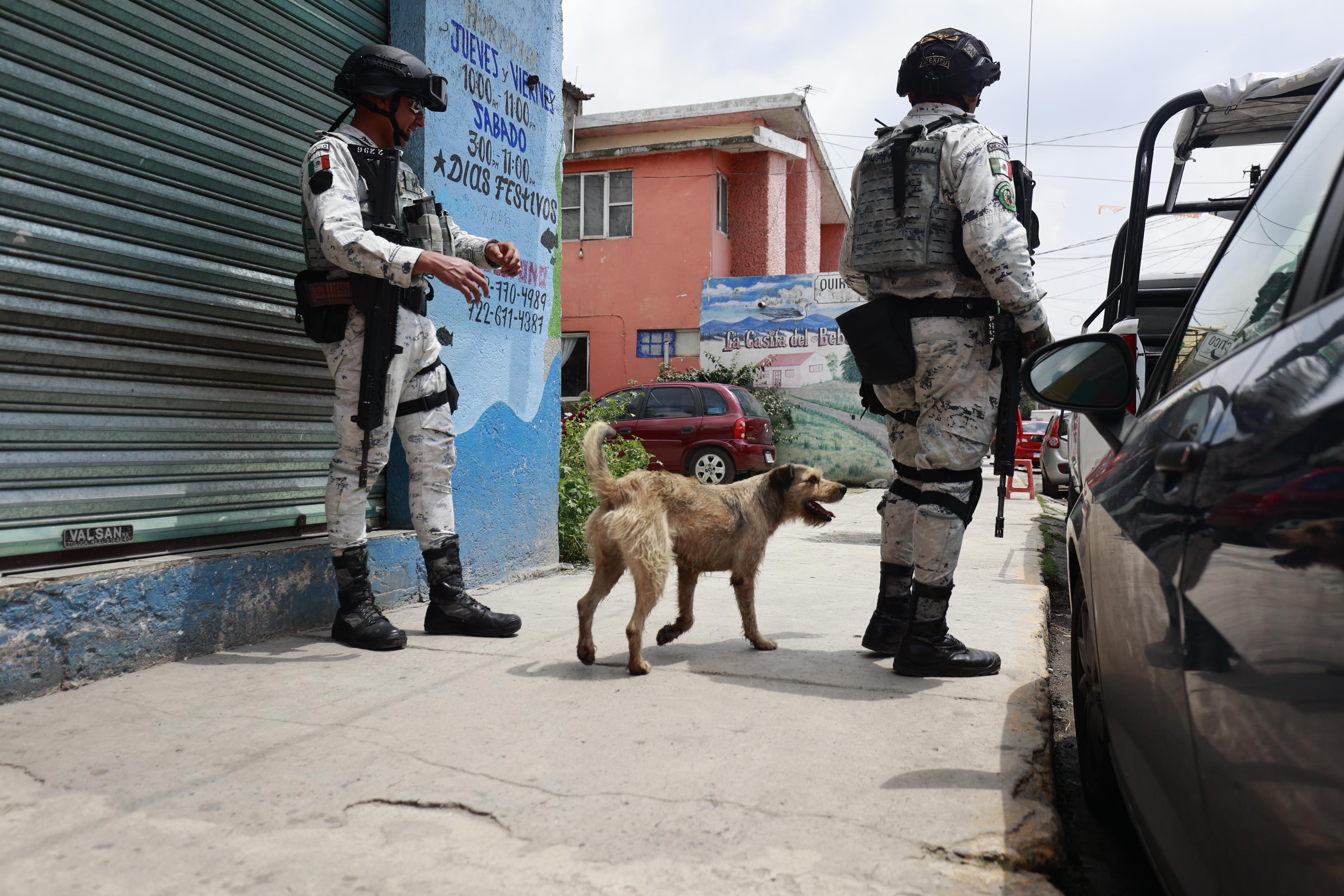 Elementos de la Guardia Nacional adoptan a Chilaquil en Ocoyoacac. Foto Alejandro Vargas
