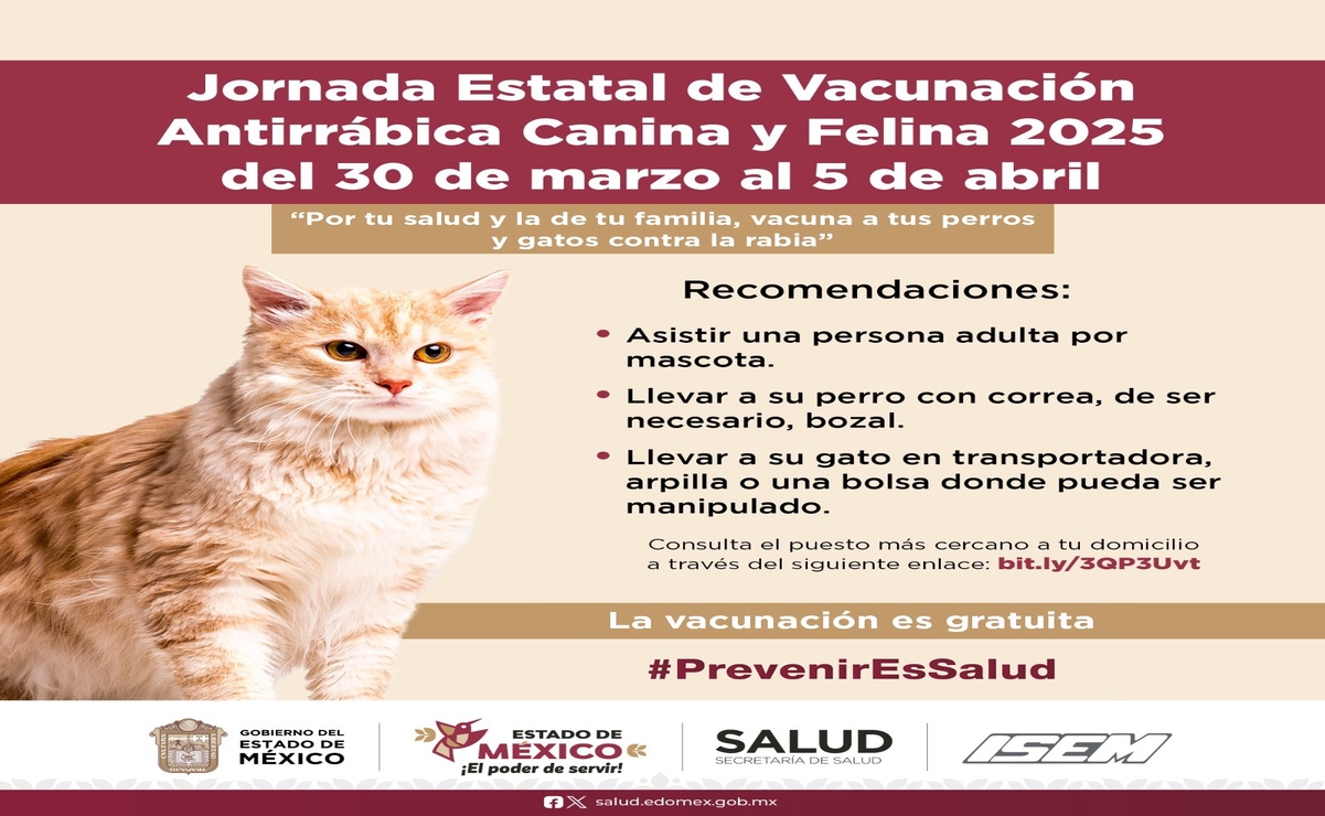 Se recomienda a la ciudadanía que asista una persona adulta por mascota / Foto: Especial