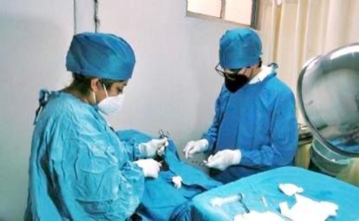 Consiste en una pequeña operación que se realiza sin bisturí, con anestesia local / Foto Especial