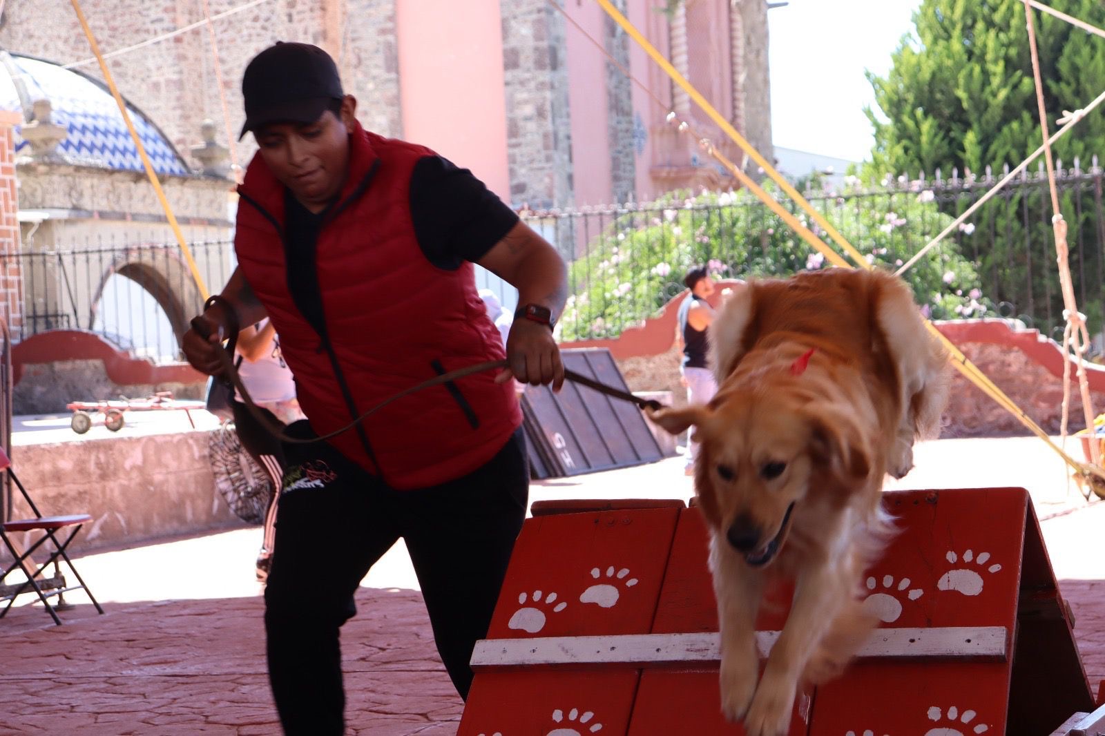 La Caminata Perrotón es otro de los atractivos del Festival de las Cactáceas. Foto Especial
