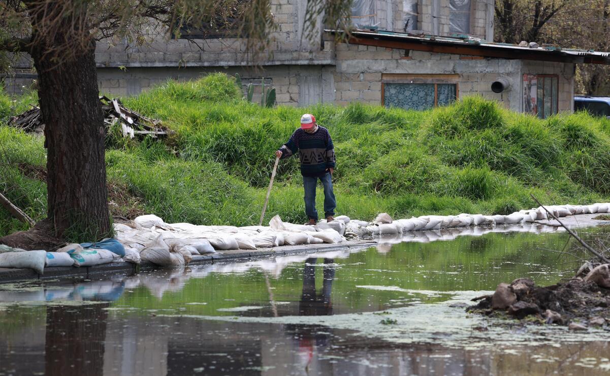 Debido a que el agua permanece estancada, han proliferado mosquitos / Foto Alejandro Vargas