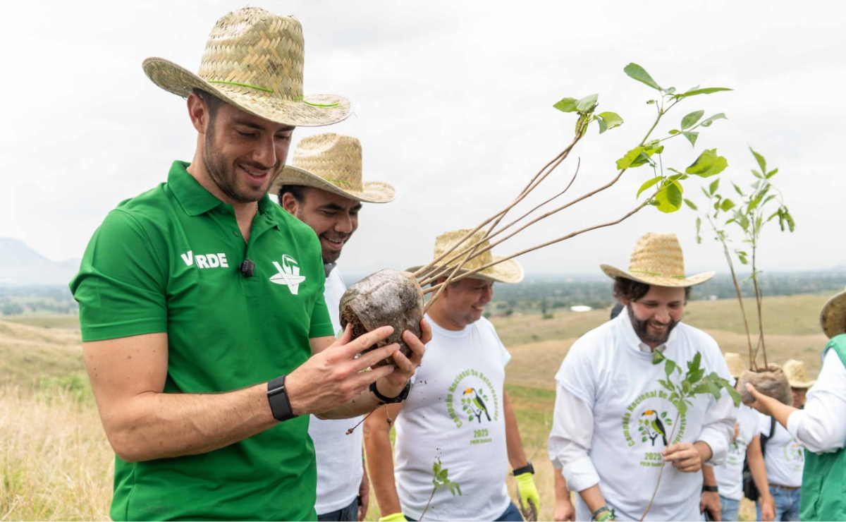 El Partido Verde lanza campaña nacional de reforestación: "Un Voto, Un Árbol"