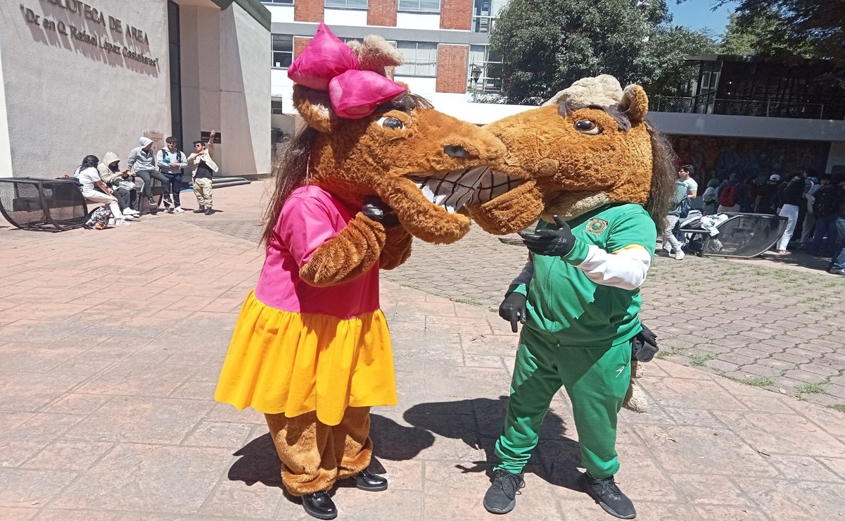 UAEMéx busca nombre para la compañera de Kuako: ¡Participa y elige!