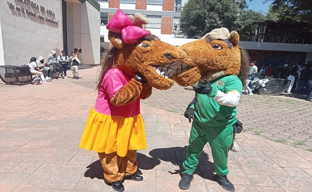 La recepción y registro de las propuestas será del 6 al 13 de marzo / Foto Especial