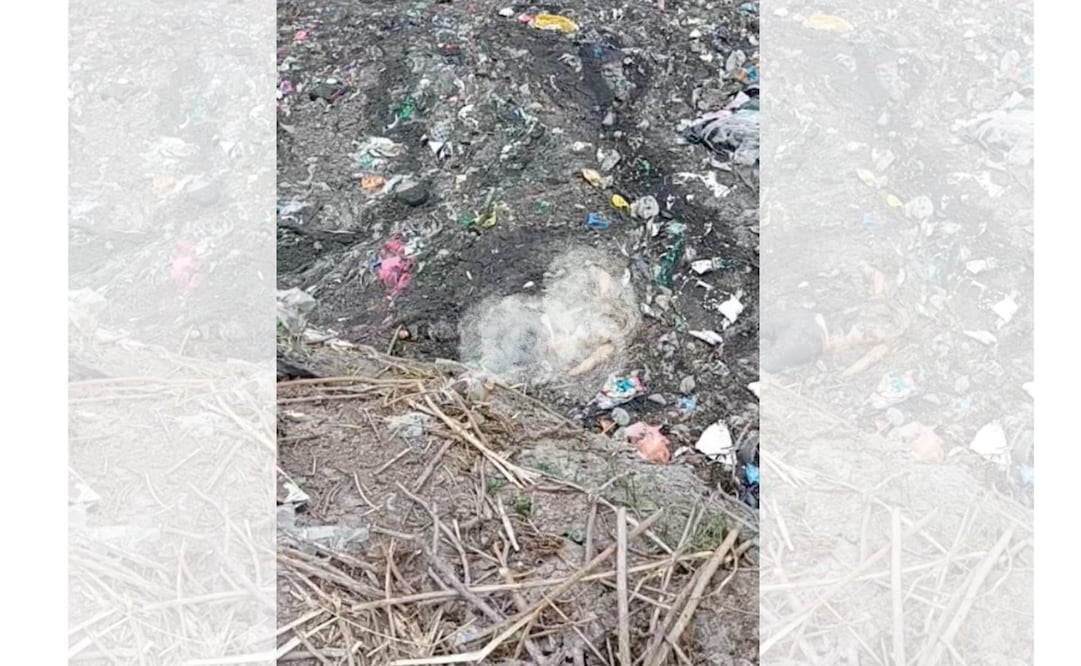 El cadáver, que presuntamente corresponde a una mujer embarazada, fue rescatado de entre los desechos del afluente. Foto Especial