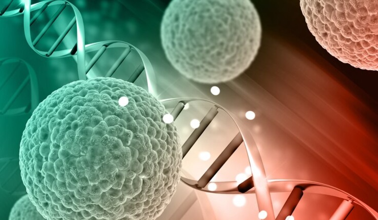 Alerta sanitaria en Edomex por brote de bacteria Klebsiella oxytoca