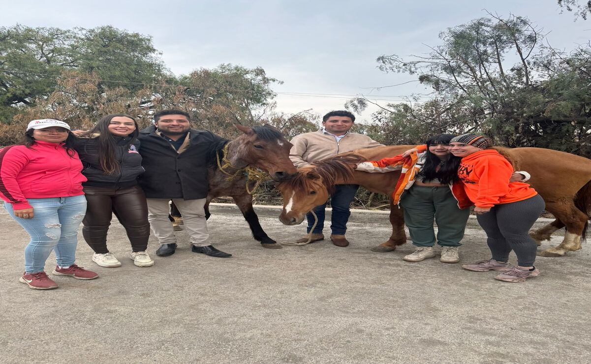 Los equinos regresaron al santuario / Foto: Especial