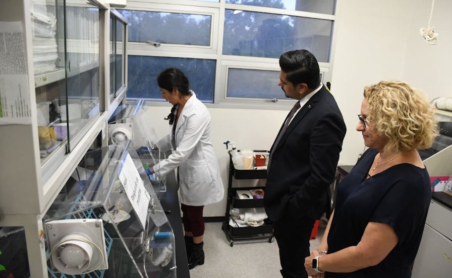 ¡Aprovecha! Nezahualcóyotl ofrece pruebas gratuitas de Virus de Papiloma Humano el 8M