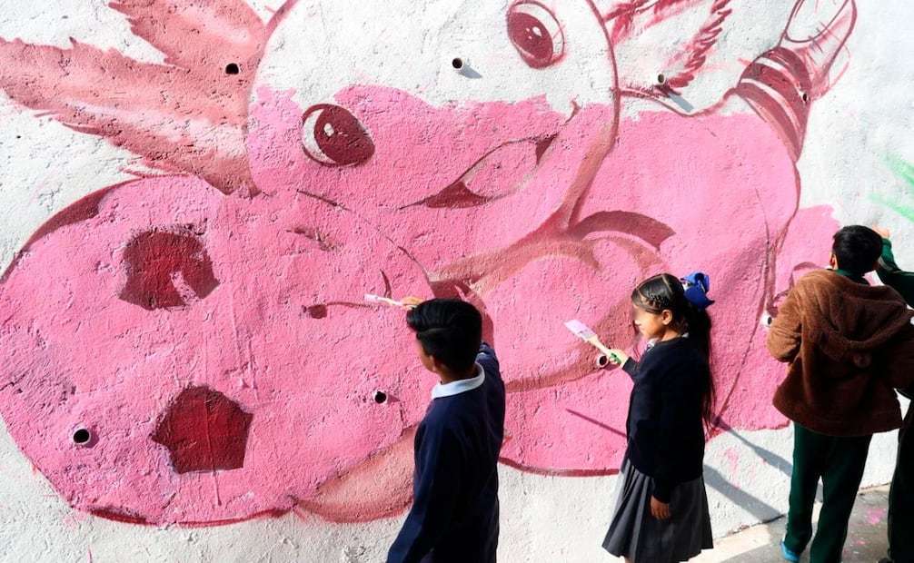 La iniciativa prioriza la atención a las causas de la violencia a través del deporte y la cultura. Foto Especial