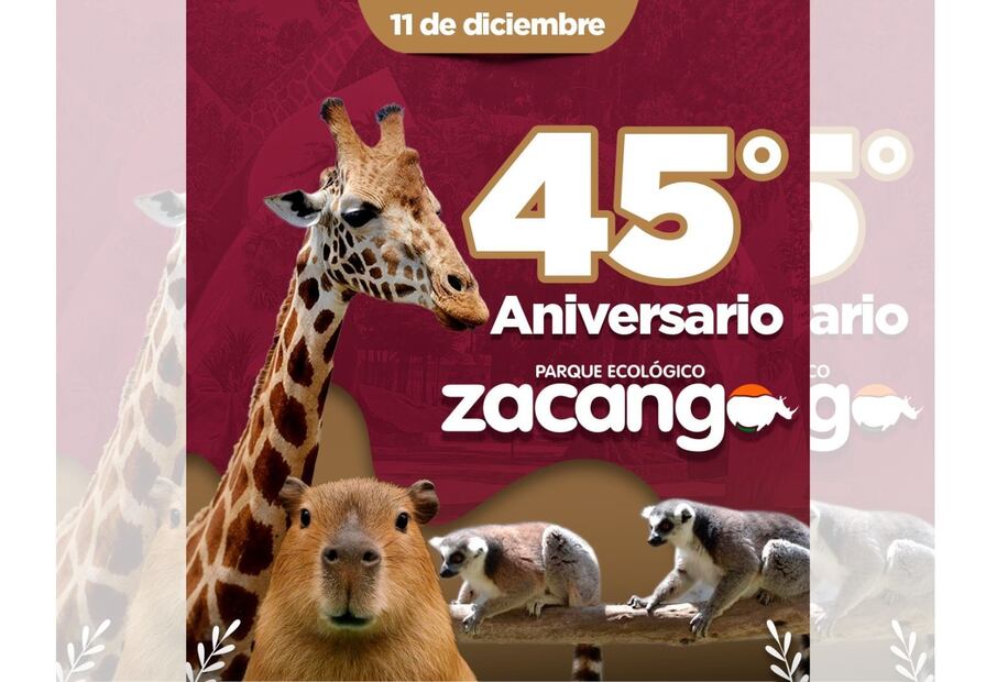 Zacango es el hogar de megavertebrados como el Hipopótamo del Nilo, el Rinoceronte blanco y la Jirafa reticulada. Foto Especial