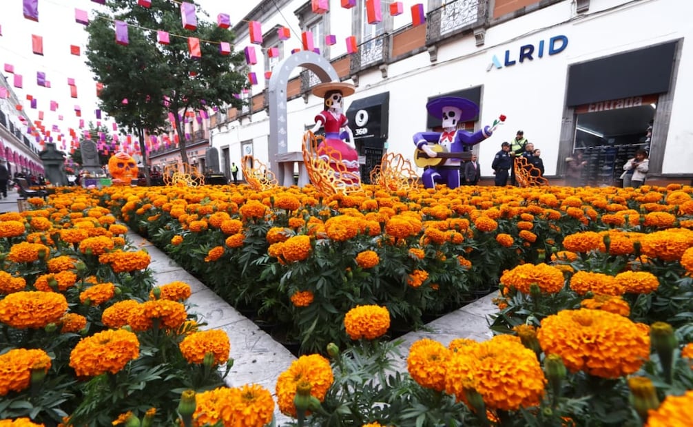 Los espacios públicos de Toluca se suman a la celebración del Alfeñique 2026. Foto especial