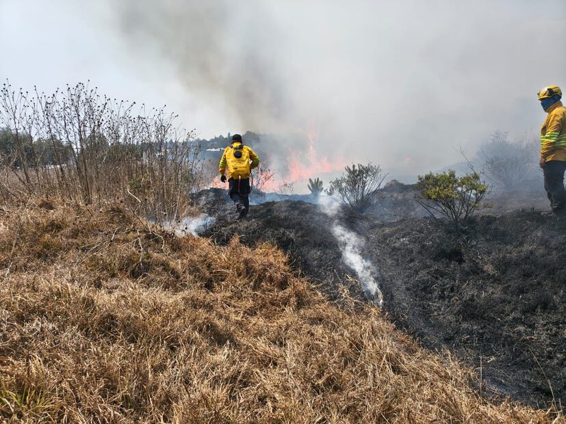 Tras varias horas de labor, las autoridades municipales confirmaron saldo blanco y cero daños estructurales en la zona. Foto Especial