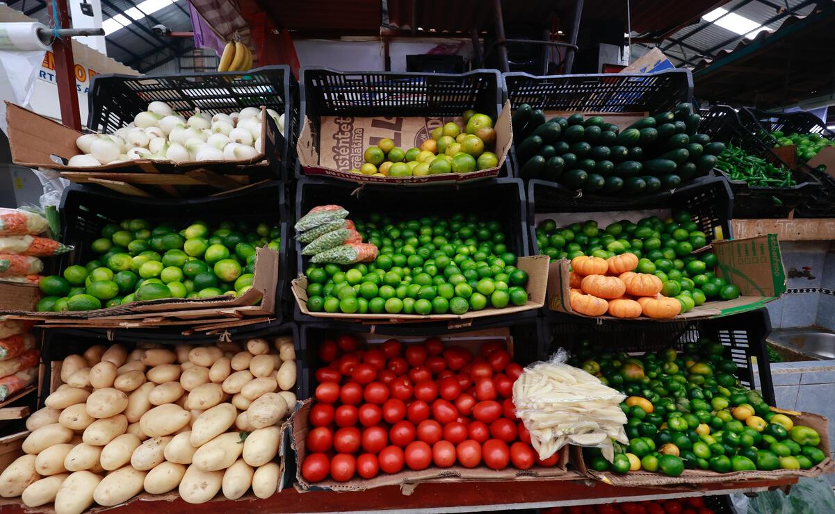 Una alimentación nutritiva debe incluir proteínas, grasas saludables, carbohidratos, vitaminas y minerales en proporciones adecuadas. Foto: Alejandro Vargas / El Universal Estado de México