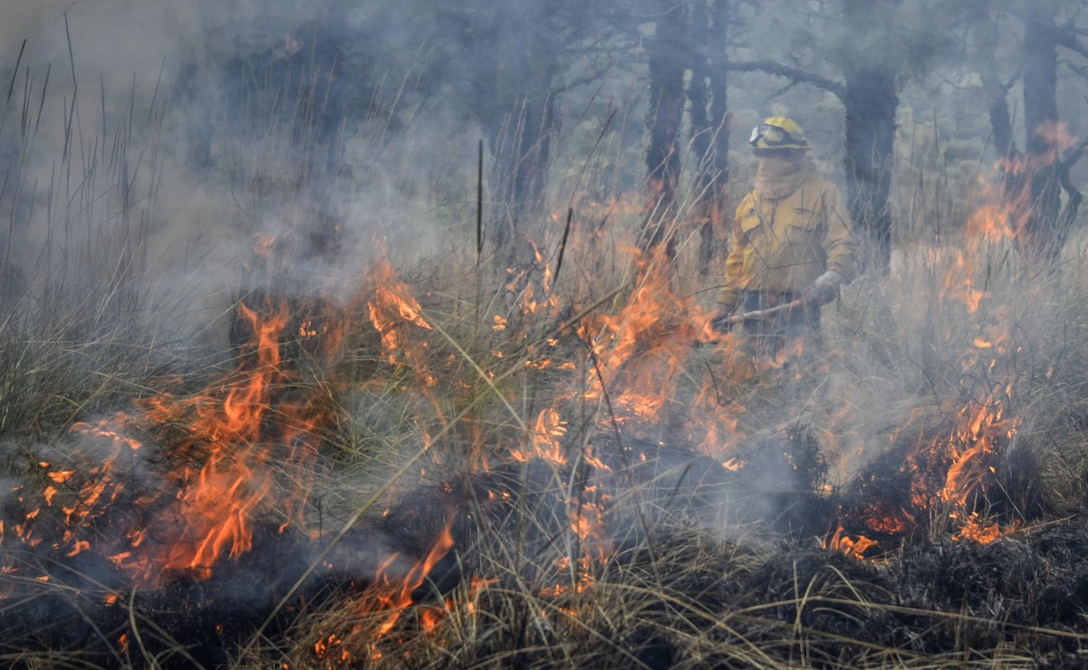 El incendio se registra cerca del Parque de Los Venados / Foto Archivo