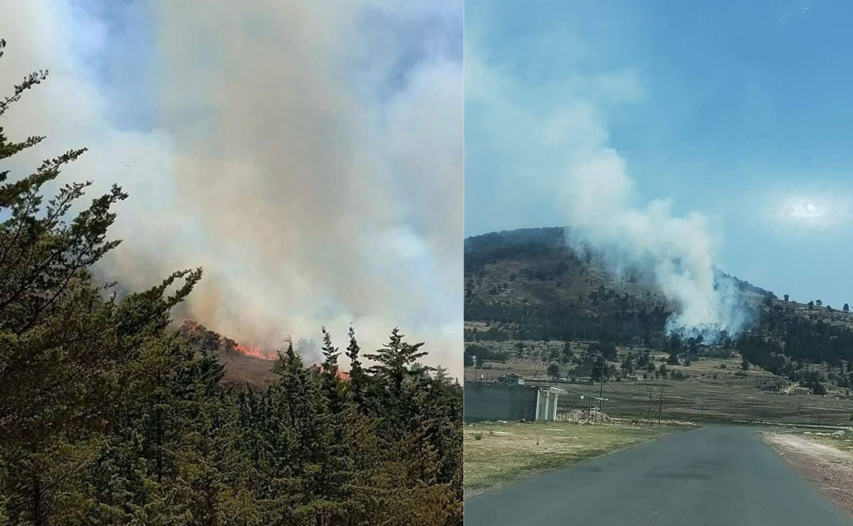 Incendios forestales azotan Atlacomulco, afectando zonas como San Pablo Atotonilco y San Pedro del Rosal. Las condiciones secas y el viento dificultan la extinción. Foto: Especial