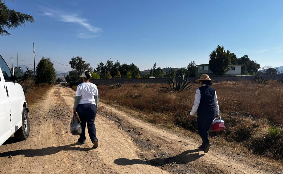 Trabajadores de las 19 Jurisdicciones Sanitarias hacen los recorridos casa por casa / Foto Especial