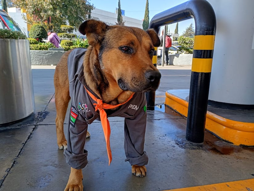 "Solovino" comienza la jornada diaria con su camisola en color gris y su corbata en una subestación de la capital mexiquense. Foto. Claudia Rodríguez
