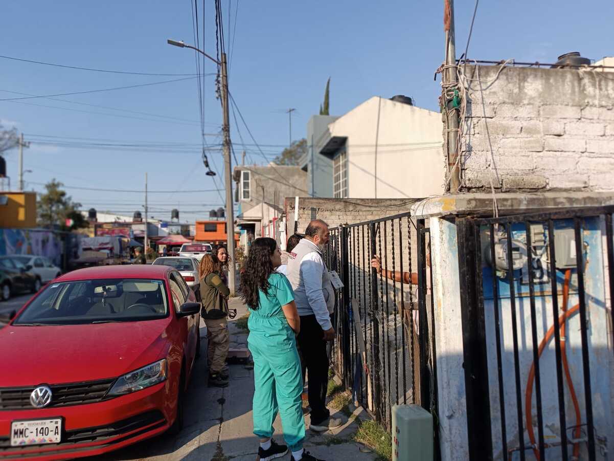 El perro fue revisado por una médica veterinaria para conocer su condición de salud y después lo resguardaron; cuando esté en condiciones, el canino será dado en adopción. Foto: especial