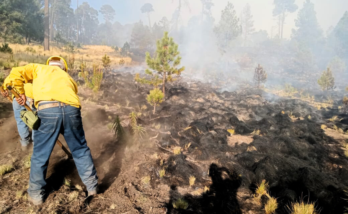 El Estado de México enfrenta un incremento alarmante en incendios forestales, con graves daños al medio ambiente. Foto: Especial