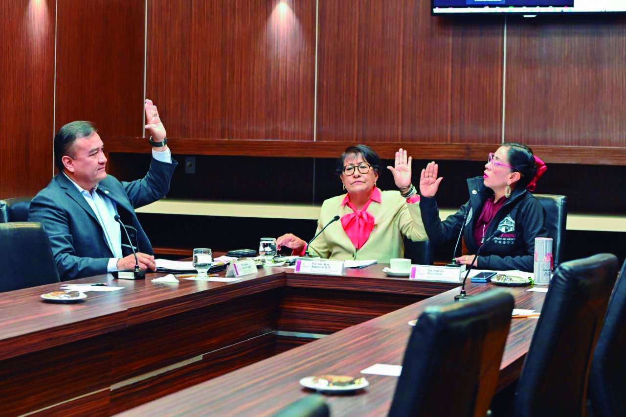 La bancada de Movimiento Ciudadano presentó una serie de reservas para tratar de modificar de fondo el nuevo ordenamiento / Foto Especial
