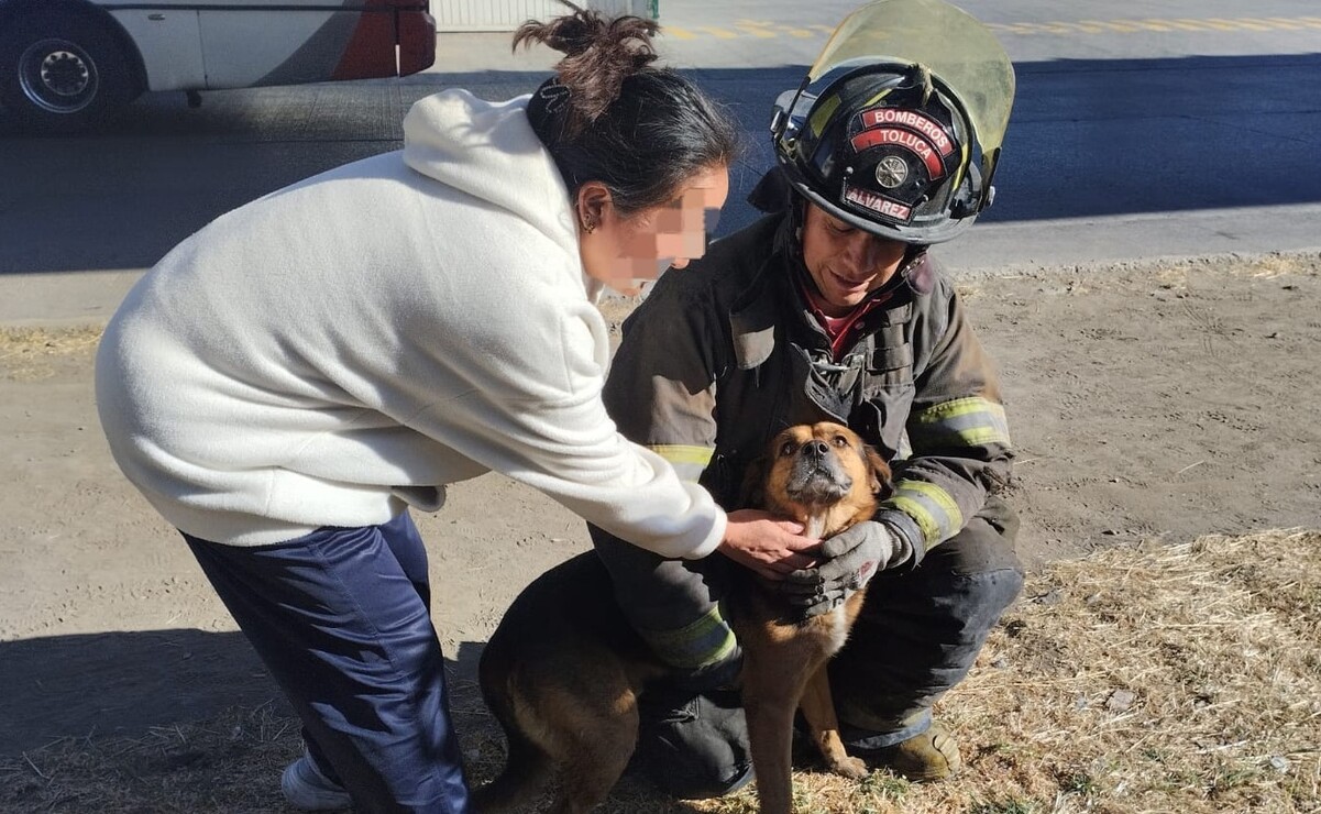 Elementos de Protección Civil y Bomberos de Toluca rescataron de forma exitosa a un perro dentro de una coladera. Foto: Especial