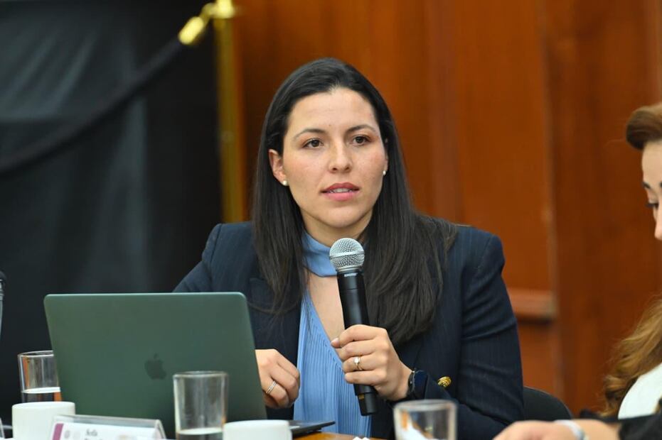 El foro busca sentar las bases para una iniciativa de ley que sea presentada en el marco del Día Internacional de la Mujer. Foto Especial