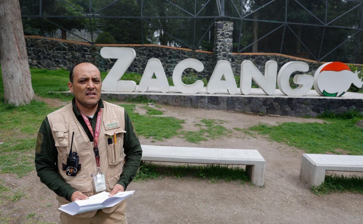 El curso de verano del Parque Ecológico Zacango: una experiencia única para los pequeños exploradores. Foto: Especial