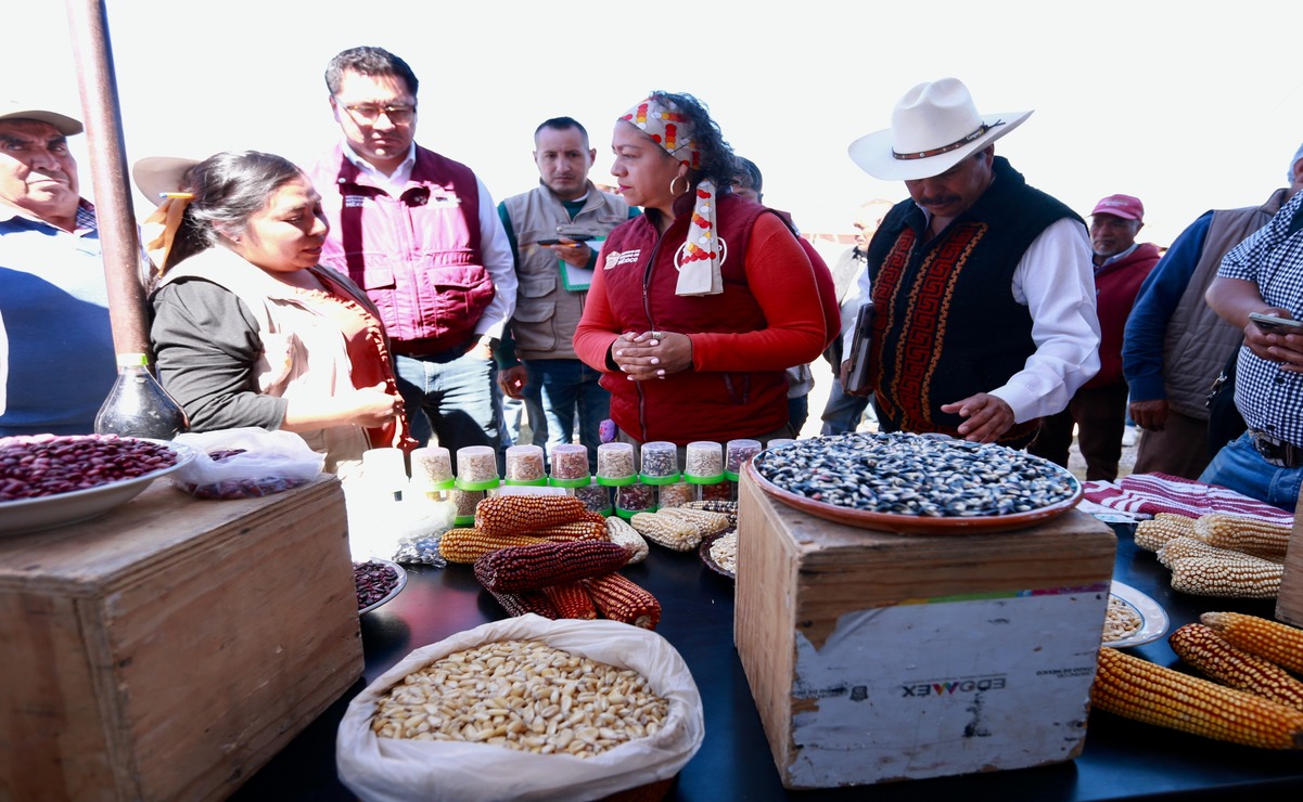 La quema agrícola puede traer consecuencias casi irreversibles. Foto: Especial