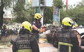 Fuertes lluvias y vientos derriban árboles, una barda y cables en distintos puntos de Cuautitlán Izcalli