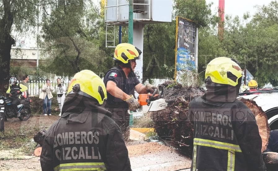 Fuertes lluvias y vientos derriban árboles, una barda y cables en distintos puntos de Cuautitlán Izcalli