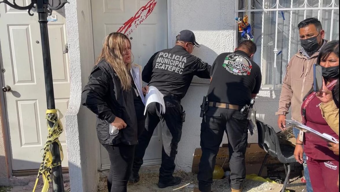 El operativo se llevó a cabo tras una denuncia ciudadana que alertó sobre la presencia de cientos de ejemplares en condiciones de riesgo.  Foto: especial