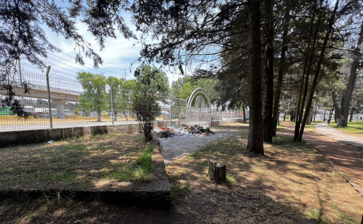 La basura en los parques de Toluca representa un riesgo sanitario para los usuarios. Foto: Aura Moreno
