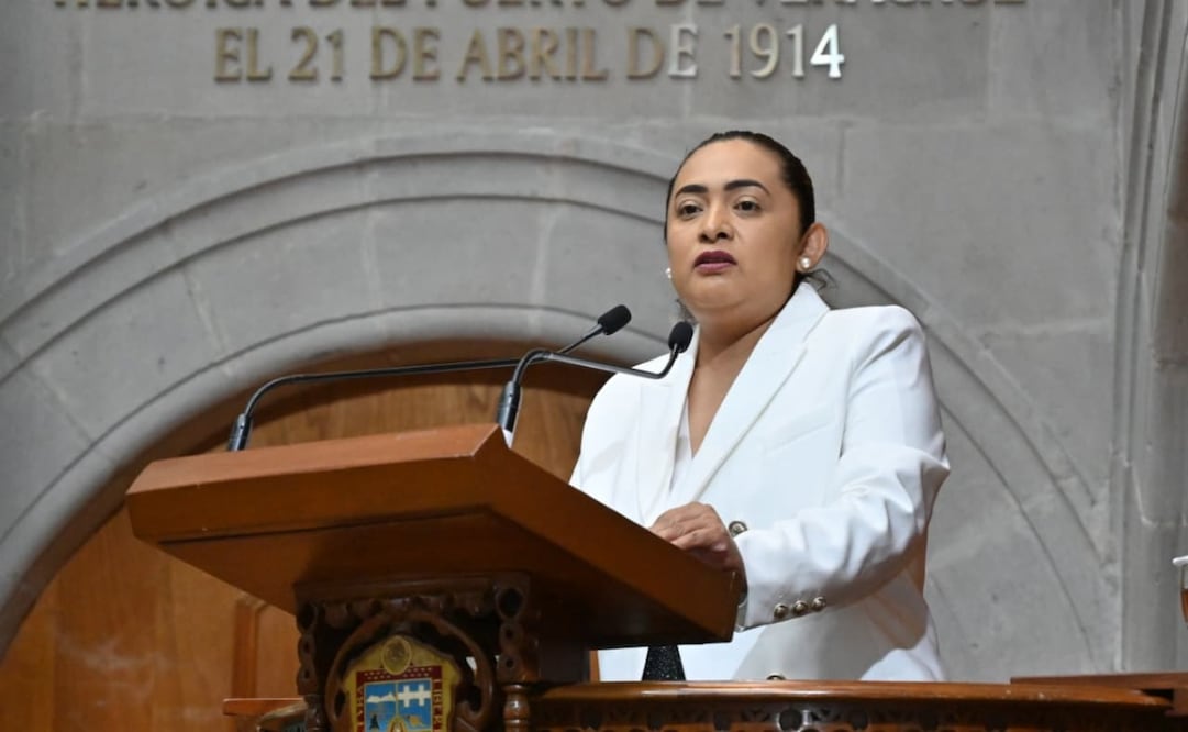La diputada Carmen de la Rosa Mendoza (Morena) durante la presentación de la iniciativa contra el uso delictivo de drones. Foto Especial