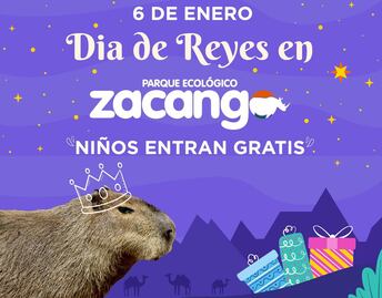 ¡Zacango gratis! Celebra el Día de Reyes en familia