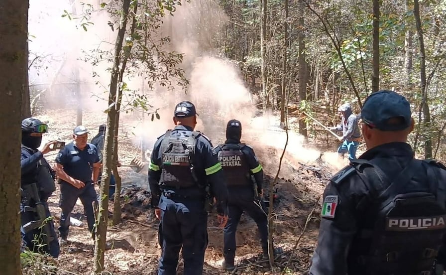 Van contra la tala inmoderada en Nicolás Romero; despliegan operativos