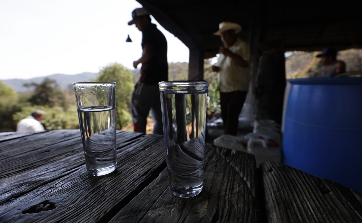De la tierra al paladar: el ritual ancestral del mezcal en Malinalco, donde cada paso se hace con pasión y dedicación Foto: Jorge Alvarado