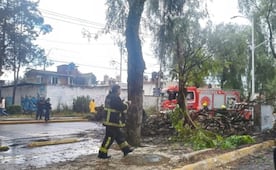 ¡Caos vial en Izcalli! Cae árbol en la Primero de Mayo tras fuerte tromba; PC ya labora en la zona