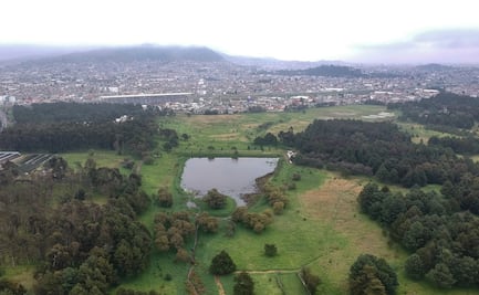 Toluca: Se recupera humedal del Parque Alameda 2000
