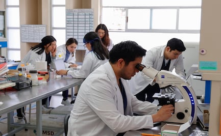 Bajo interés científico en Edomex: la entidad solo aporta el 5.5% de investigadores a nivel nacional