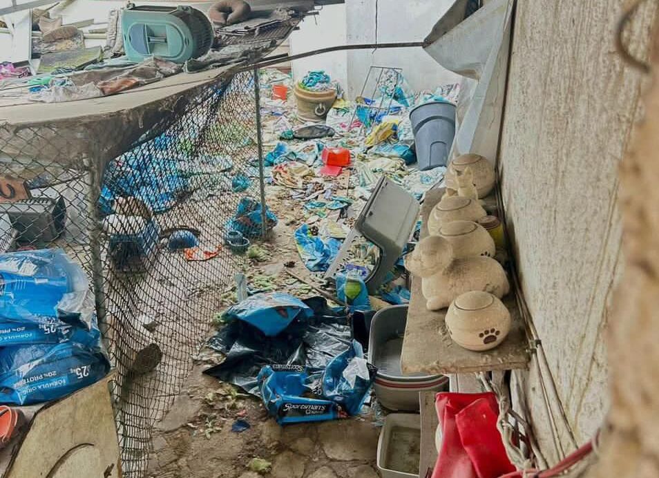 El inmueble operaba como un "spa" y "hotel" para mascotas, pero era un centro de maltrato. Foto Especial
