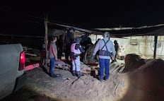 ¡Golpe a la tala clandestina! Aseguran dos inmuebles de almacenamiento y procesamiento de madera, en Ocuilan