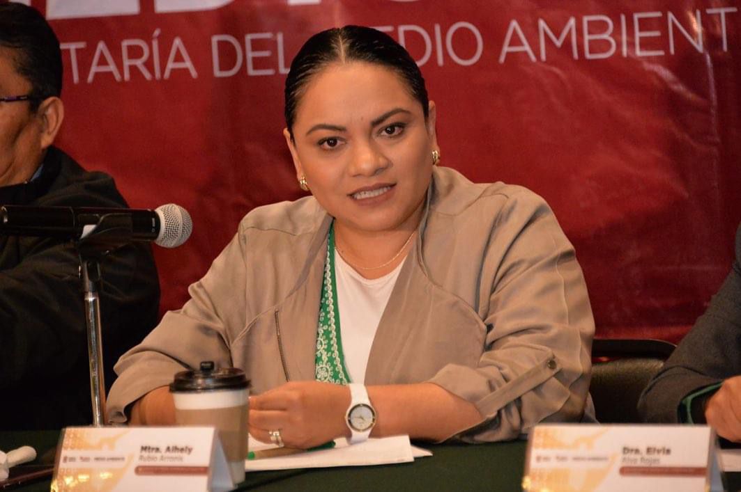 La secretaria de Medio Ambiente, Alhelí Rubio Arroniz. Foto especial