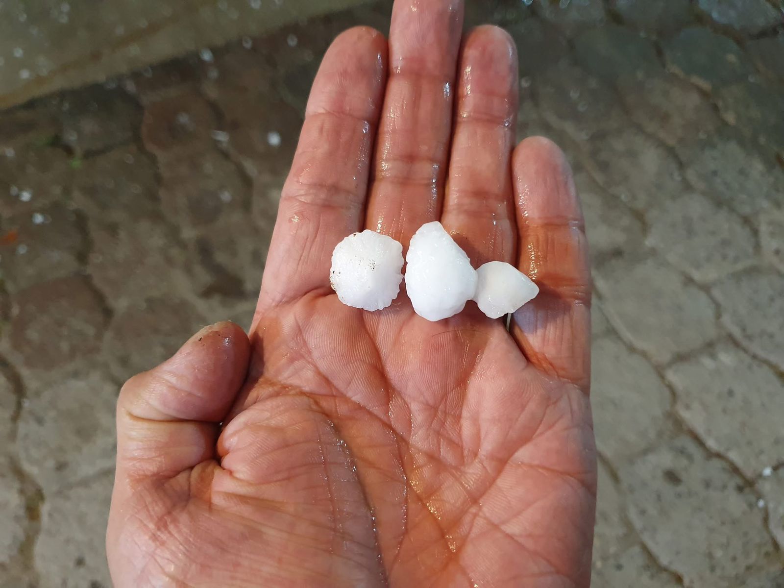 En el Pueblo de San Juan Atlamica, en Cuautitlán Izcalli, los habitantes reportaron la caída de granizo de gran tamaño que cubrió patios y calles. Foto Arturo Contreras