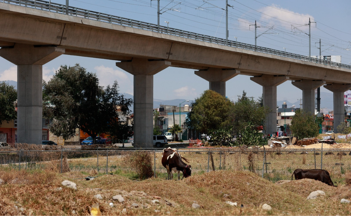 Con la llegada del Tren Insurgente, municipios como Zinacantepec y Lerma verán nuevos mercados y un Parque Lineal de 22 km para el disfrute de todos. Foto: Alejandro Vargas