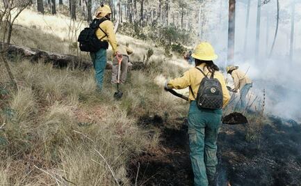 Incendio en el Nevado de Toluca: 3 combatientes heridos en la lucha contra el fuego