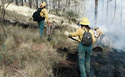 Incendio en el Nevado de Toluca: 3 combatientes heridos en la lucha contra el fuego