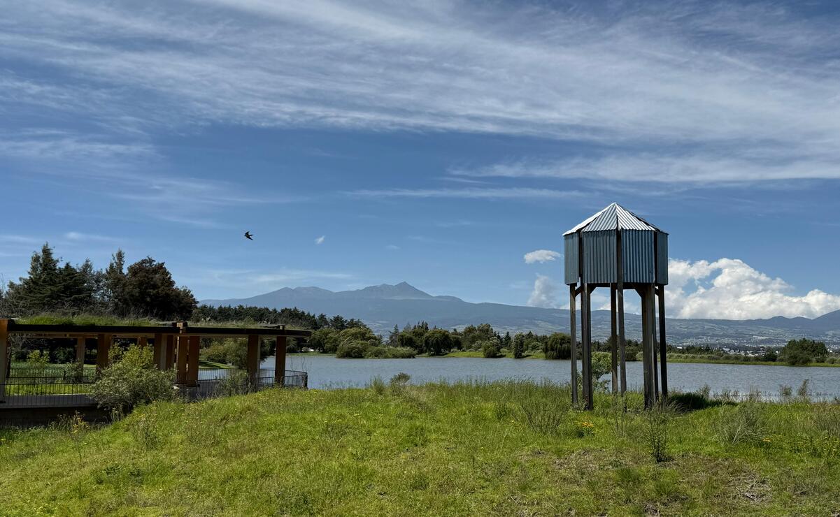 Este espacio es un pulmón verde para los habitantes del Valle de Toluca / Foto Sergio García