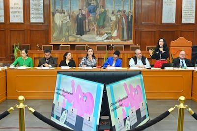 ¿Derecho a una familia o explotación reproductiva? El debate por "vientres de alquiler" llega al Congreso