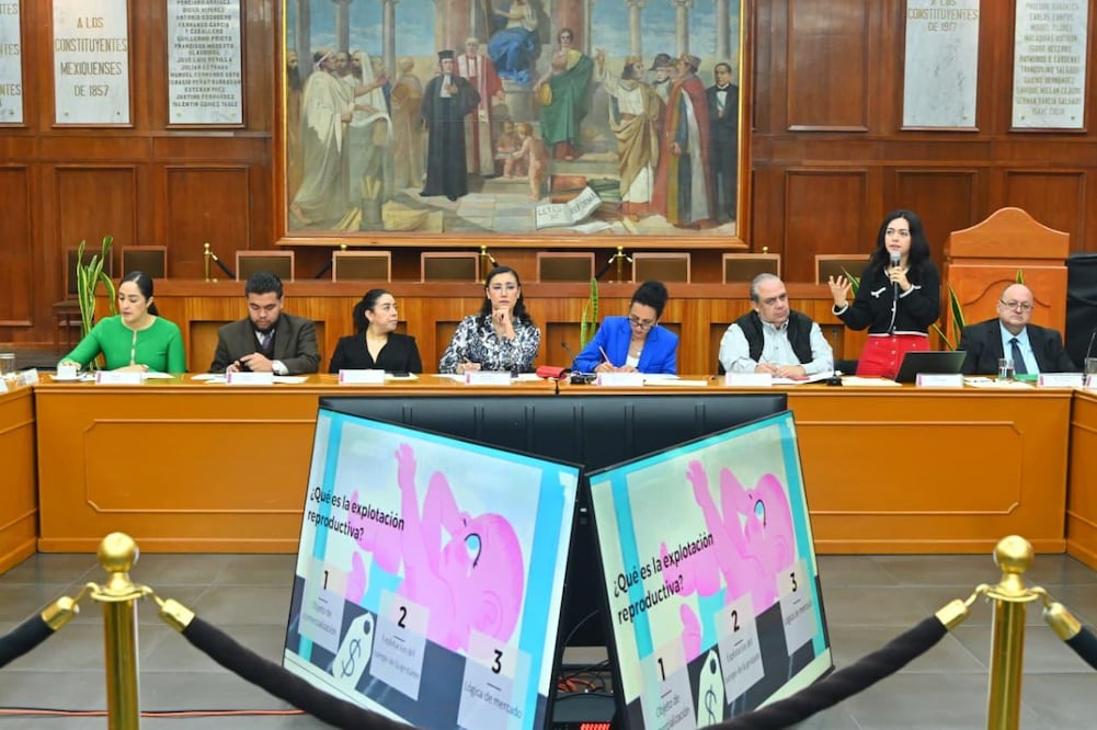 Especialistas señalaron que en México se ofrecen hasta 400 mil pesos por subrogar un vientre, captando principalmente a mujeres vulnerables. Foto Especial