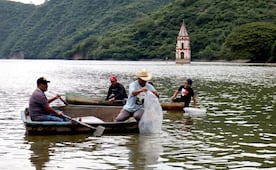 Siembran medio millón de mojarras en la presa de Pueblo Viejo para reactivar la economía